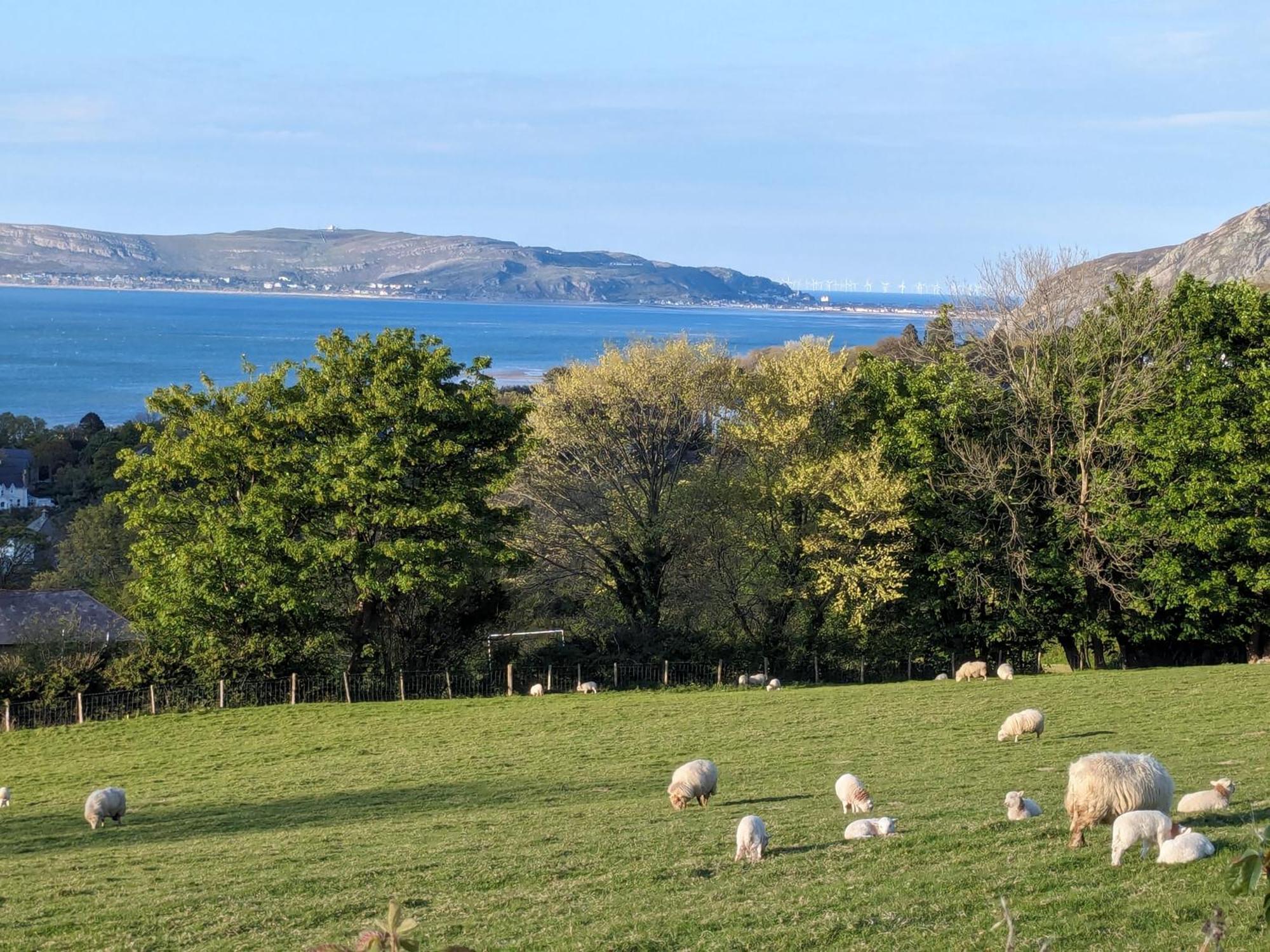 Fantastic Sea Views At Century'S Old Alma'S Cottage - Sleeps Up To 8 Guests Penmaen-mawr Esterno foto